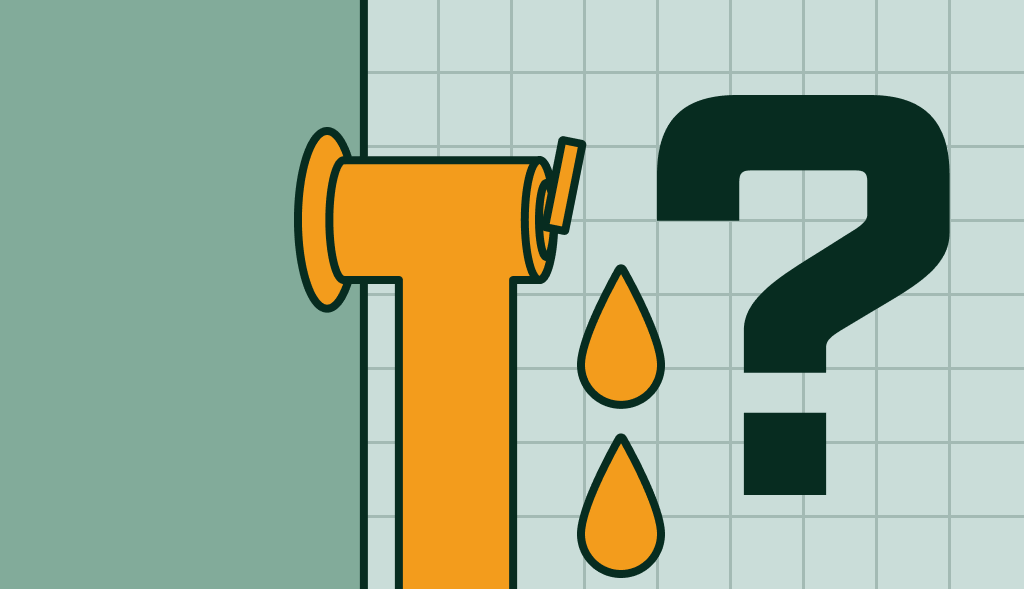 Water heater pressure relief valve dripping water beside a question mark, illustrating causes of valve leaks.